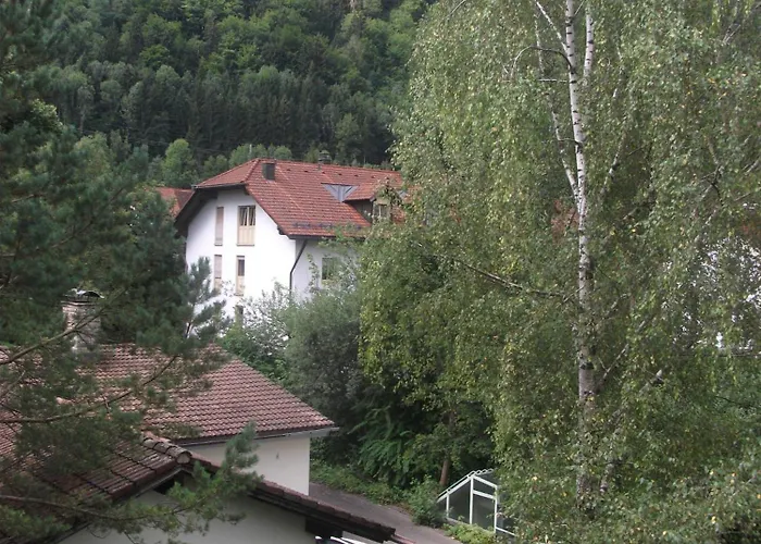Appartemant Steineberg