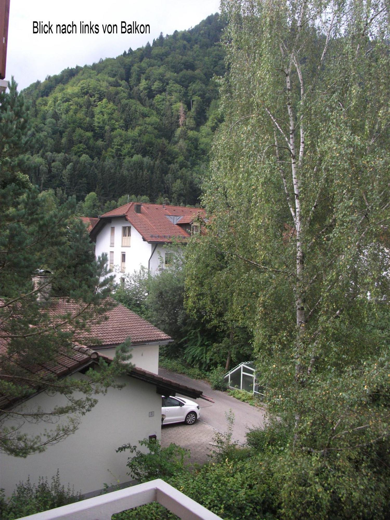 Appartemant Steineberg Apartment