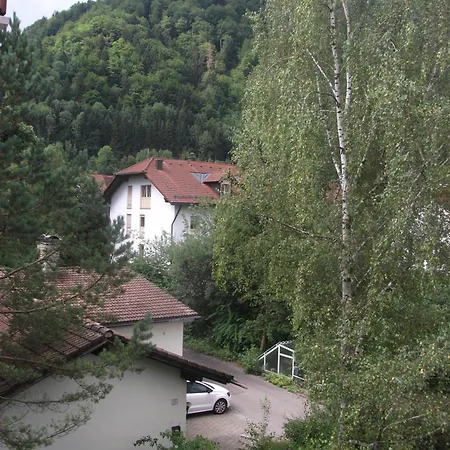 Appartemant Steineberg Immenstadt im Allgäu Exterior foto